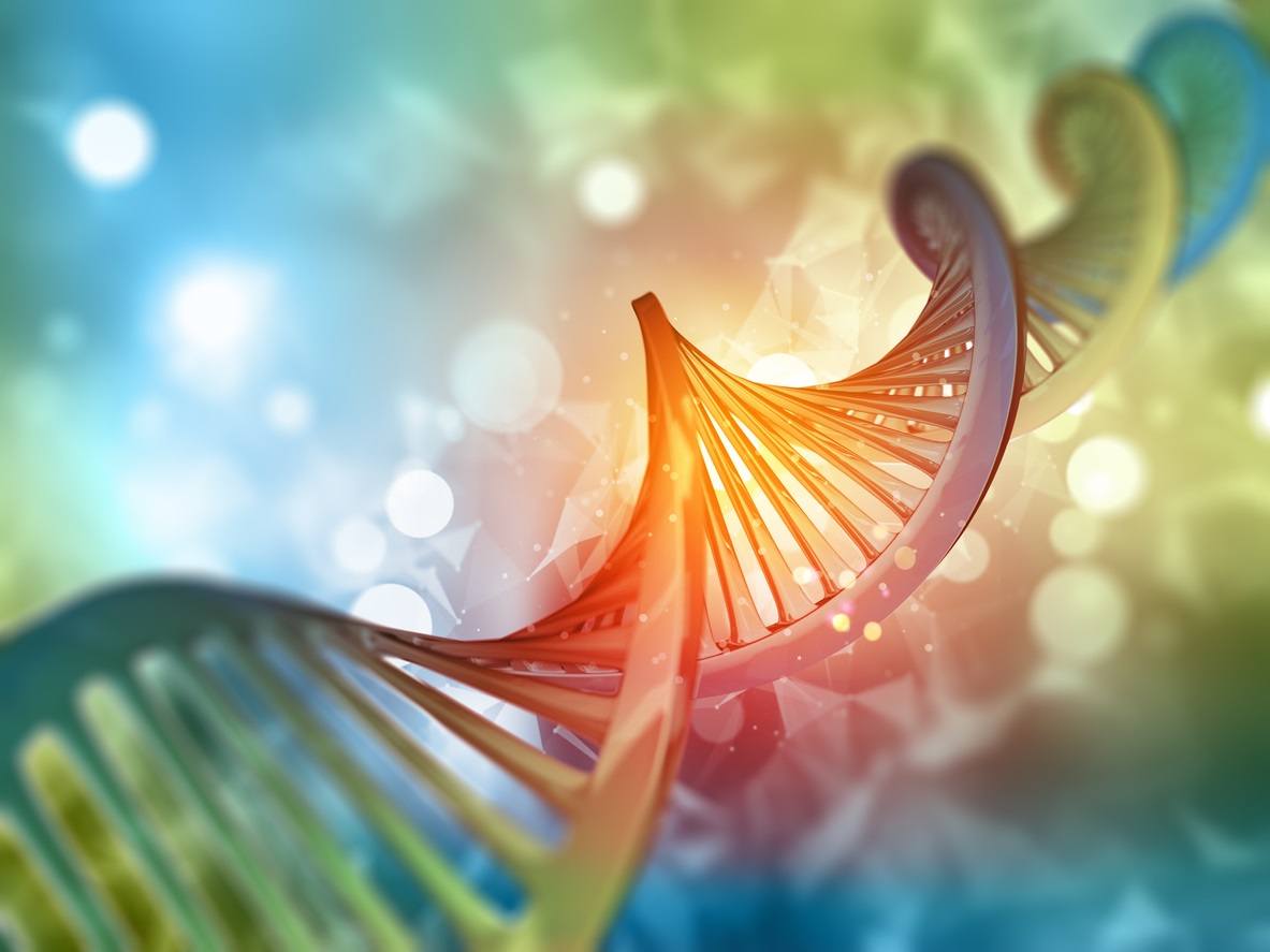 ¿Qué Se Considera una Buena Coincidencia de ADN?