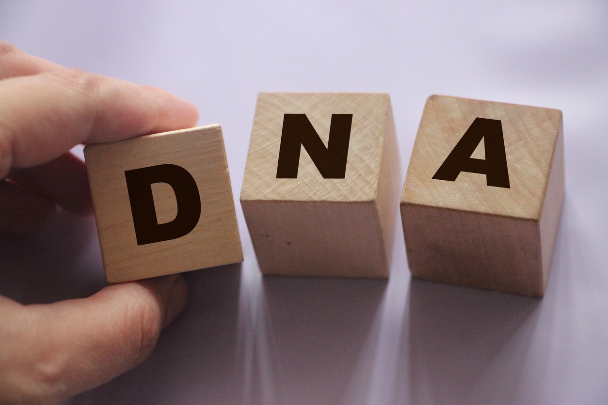 Glosario de Genealogía: Términos Comunes de ADN Explicados